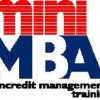 mini-mba mini-mba